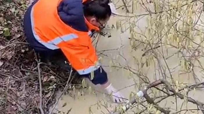 Maden tesisinin atık havuzu çöktü... Tarım alanları tehlikede
