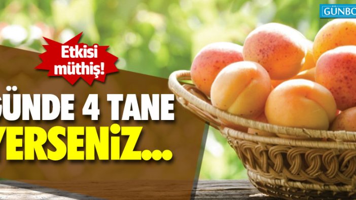 Günde 4 tane kayısı yerseniz...