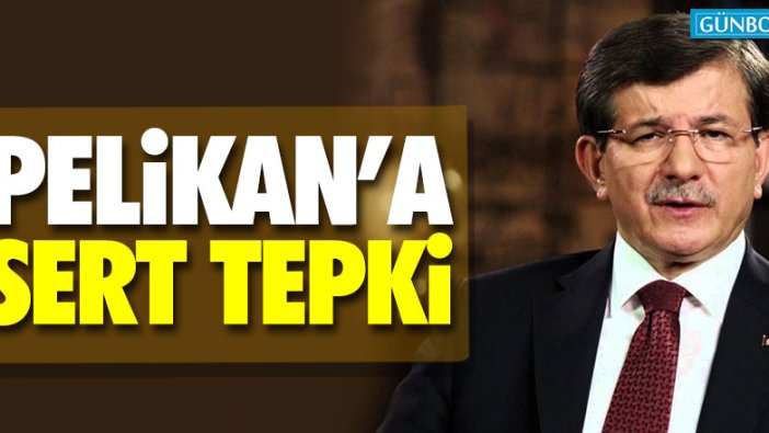 Ahmet Davutoğlu'ndan Pelikan'a sert tepki