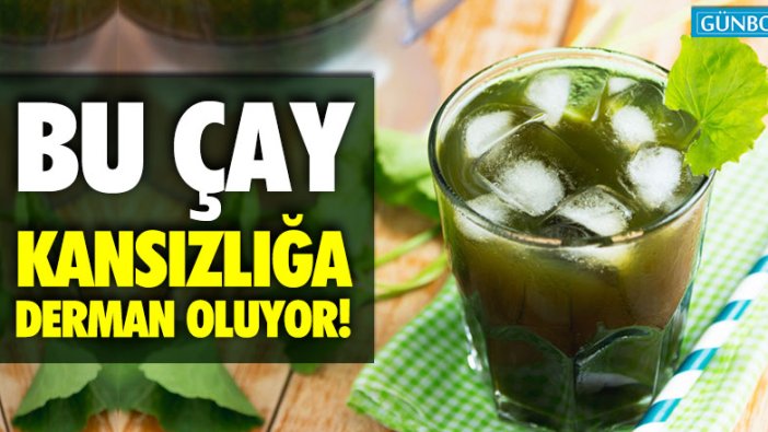 Bu çay, kansızlığa derman oluyor!