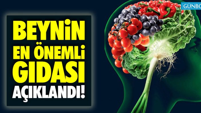 Beynin en önemli gıdası açıklandı!