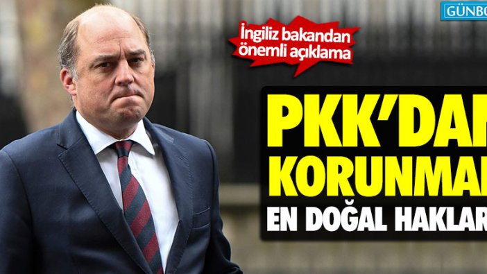 Ben Wallace: "Türkiye'nin kendisini savunması zaruri"