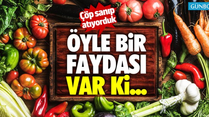 Çöp sanıp atıyorduk... Öyle bir faydası var ki...