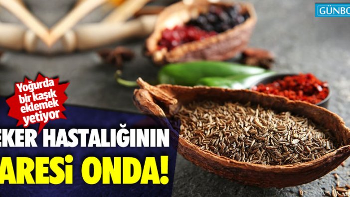 Şeker hastalığının çaresi onda! Yoğurda bir kaşık eklemek yetiyor...