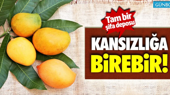 Bu meyve tam bir şifa deposu... Kansızlığa birebir!