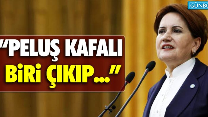 Meral Akşener: "Pelüş kafalı biri Türkiye’ye kafa tutamamalı"