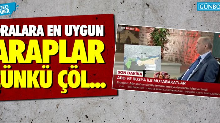 Erdoğan: Oralara en uygun olan Araplardır, çünkü çöl