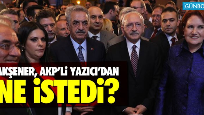 Akşener, AKP'li Hayati Yazıcı'dan ne istedi?