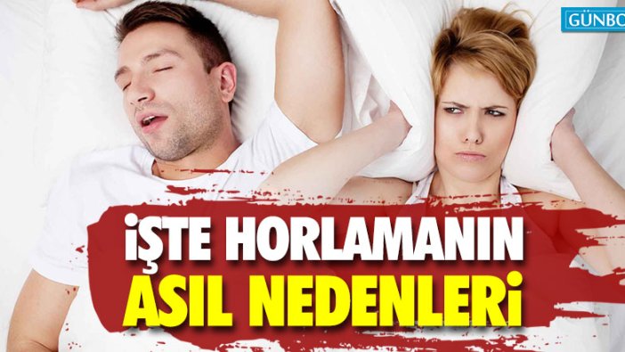 İşte horlamanın asıl nedenleri