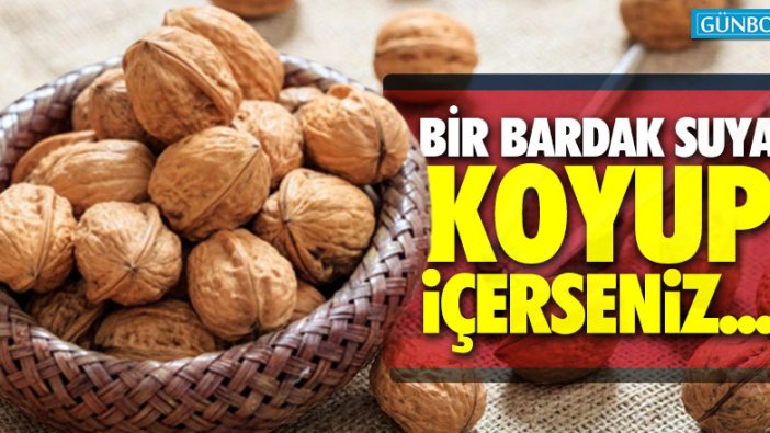 Bir bardak suya bir ceviz koyup içerseniz bakın ne oluyor?