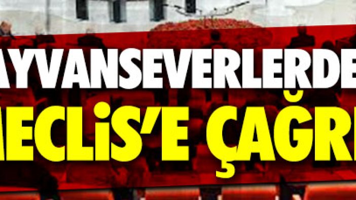 Hayvanseverlerden Meclis’e çağrı