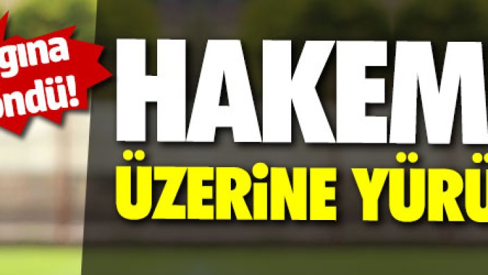 Sergen Yalçın hakem Halis Özkahya'nın üzerine yürüdü