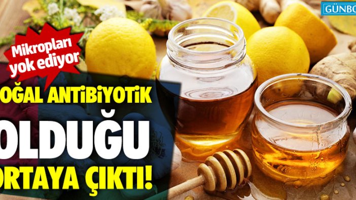 Doğal antibiyotik olduğu ortaya çıktı! Mikropları anında yok ediyor