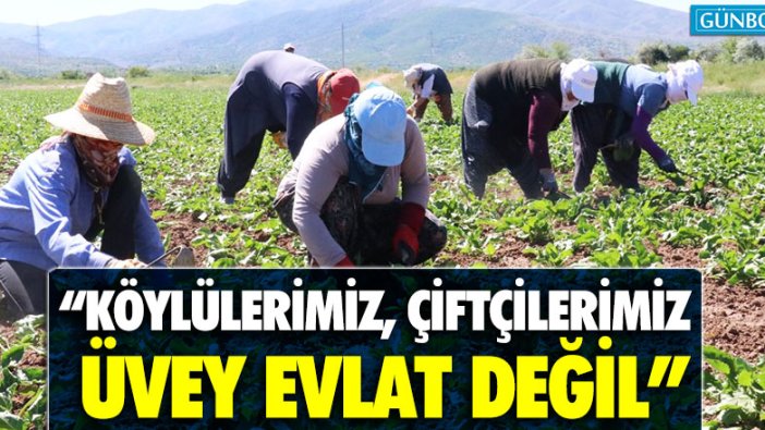 CHP'li Gülizar Biçer Karaca: "Köylülerimiz, çiftçilerimiz üvey evlat değil"