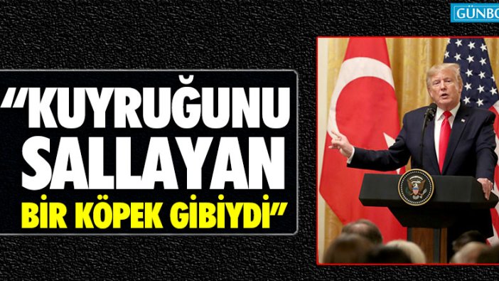 Alman gazetesinden Trump'a: "Kuyruğunu sallayan bir köpek gibiydi"