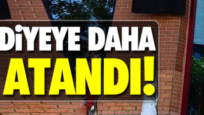 HDP'li 3 belediyeye kayyum atandı!