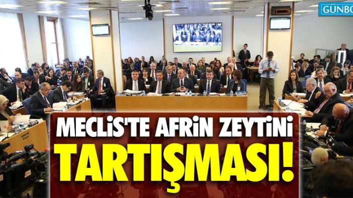 Meclis'te Afrin zeytini tartışması!