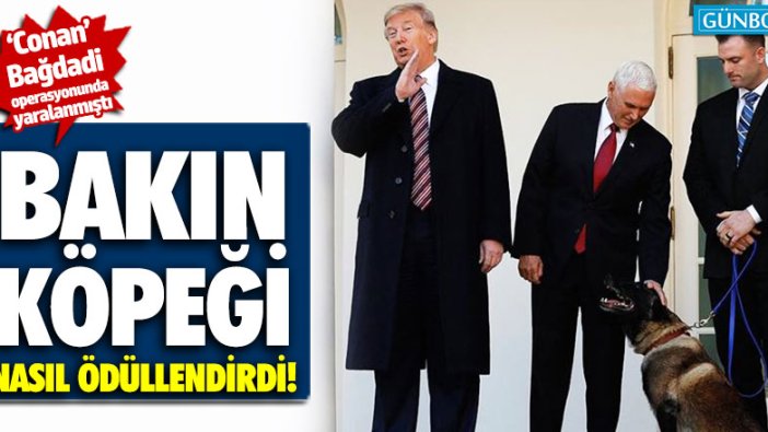 Trump, Bağdadi operasyonunda görevli köpeği ödüllendirdi!