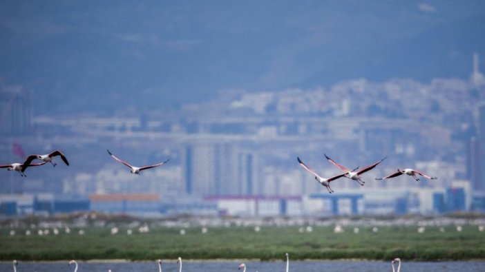 İzmir'den UNESCO'ya uzanan yolculuk!