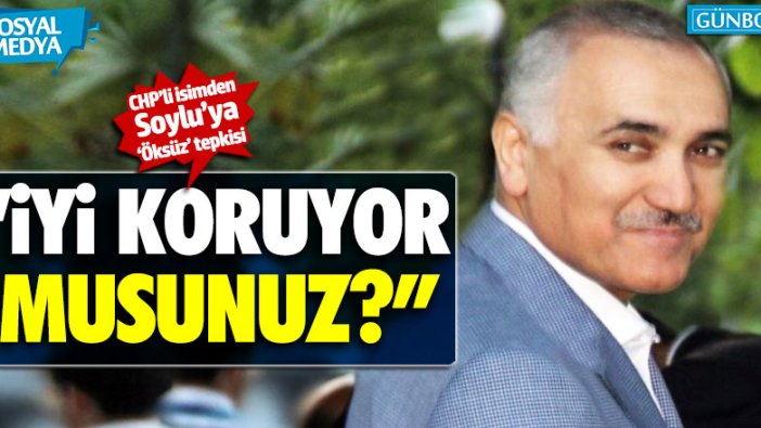 CHP'li Haluk Koç'tan Soylu'ya tepki!