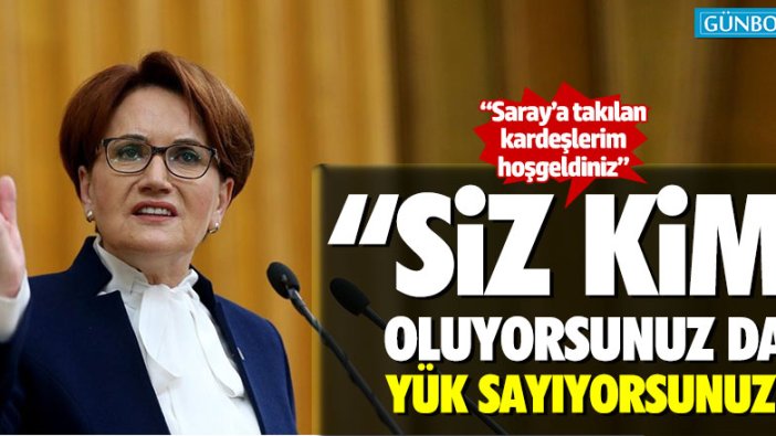 Meral Akşener: "Siz kim oluyorsunuz da yük sayıyorsunuz?"