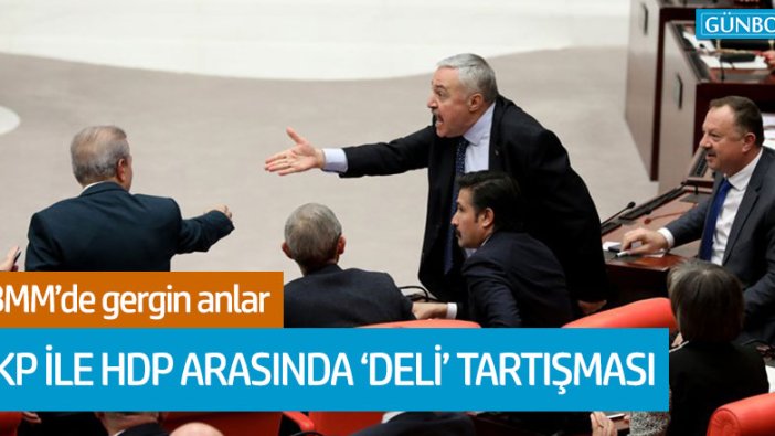 AKP ile HDP arasında 'deli' tartışması