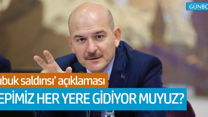 Soylu'dan 'Çubuk saldırısı' açıklaması