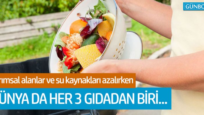 Dünya da her 3 gıdadan biri çöpe gidiyor