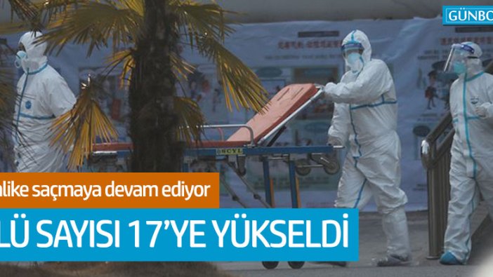 Çin'deki koronavirüs salgını: Ölü sayısı 17'ye yükseldi