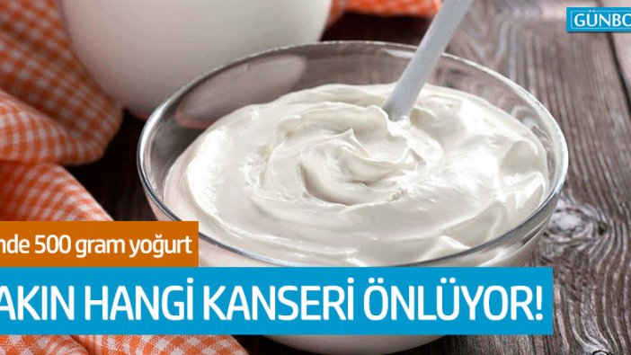 “Günde 500 gram yoğurt, meme kanserini önlüyor”