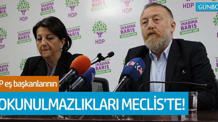 HDP eş başkanları Temelli ve Buldan hakkındaki dokunulmazlık dosyası TBMM’ye geldi