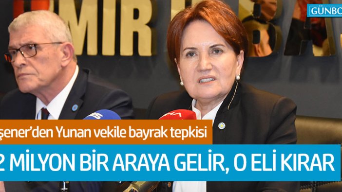 Akşener: "82 milyon bir araya gelir o bayrağı yırtan eli kırar"