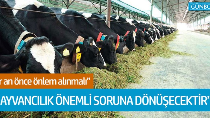 CHP Niğde Milletvekili Ömer Fethi Gürer'den iktidara besi tepkisi!