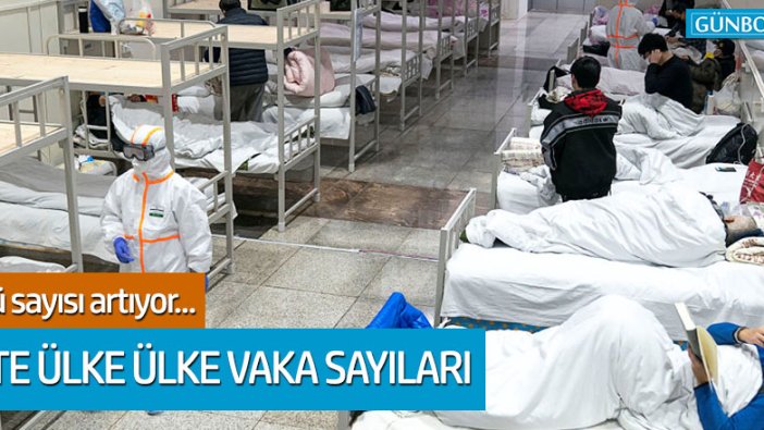 Coronavirüsün görüldüğü ülkeler ve vaka sayıları açıklandı