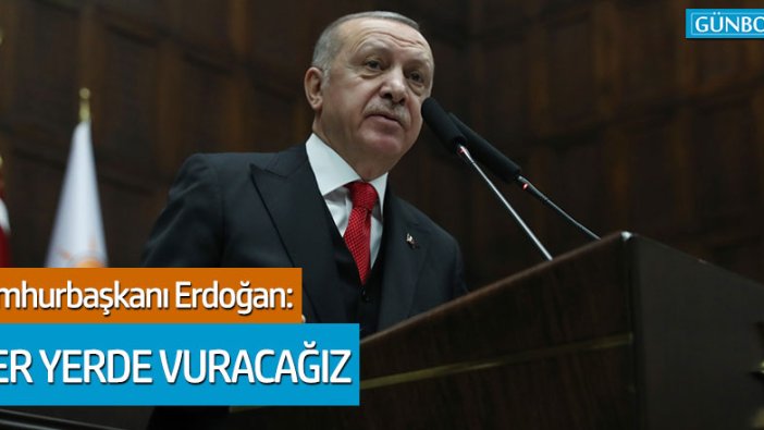 Cumhurbaşkanı Erdoğan: "Her yerde vuracağız"