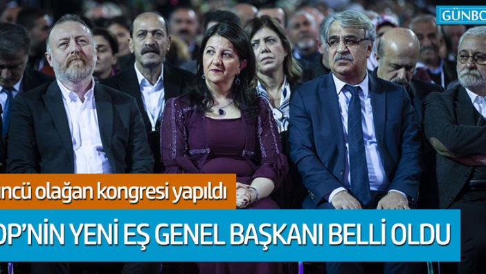 HDP'nin yeni eş Genel Başkanı belli oldu