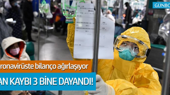 Çin’de coronovirüs salgınında can kaybı 2914’e yükseldi