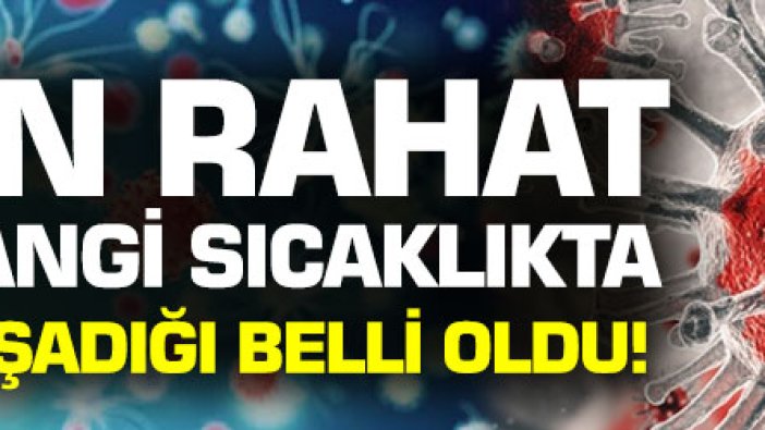 Korona virüsün en çok yaşadığı sıcaklık derecesi belli oldu