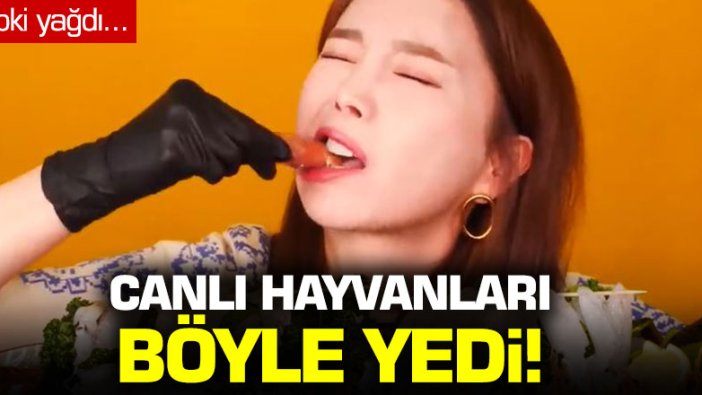 Canlı hayvan yerken video çeken Koreli Youtuber’a tepki yağdı