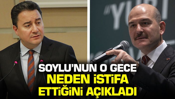 Ali Babacan, Bakan Soylu'nun o gece neden istifa ettiğini açıkladı