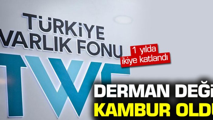 CHP'li Fethi Açıkel: "Varlık Fonu derman değil kambur oldu"