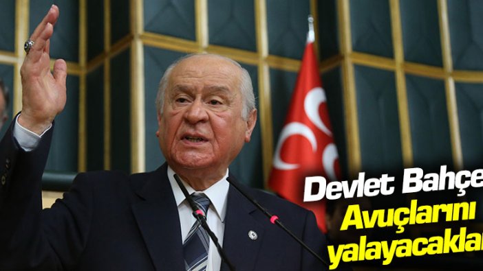 Devlet Bahçeli: Avuçlarını yalayacaklar