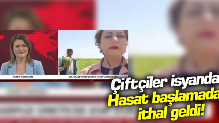 Çiftçiler isyanda! Hasat başlamadan ithal geldi...