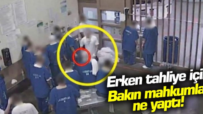 Erken tahliye için bakın mahkumlar ne yaptı!