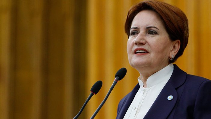 Meral Akşener'den Peyami Safa mesajı