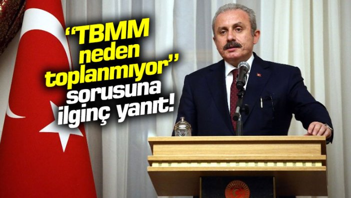 Mustafa Şentop'tan "TBMM neden toplanmıyor" ilginç sorusuna yanıt