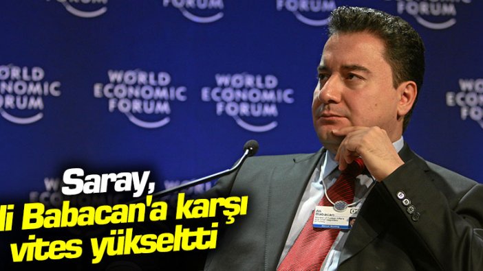 Saray, Ali Babacan'a karşı vites yükseltti