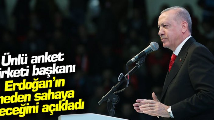 Ünlü anket şirketi başkanı Erdoğan'ın neden sahaya ineceğini açıkladı