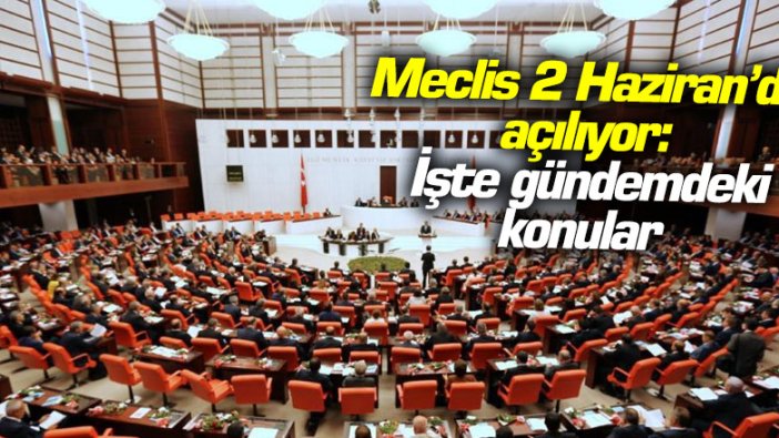 Meclis 2 Haziran'da açılıyor: Peki Meclis gündeminde neler var?