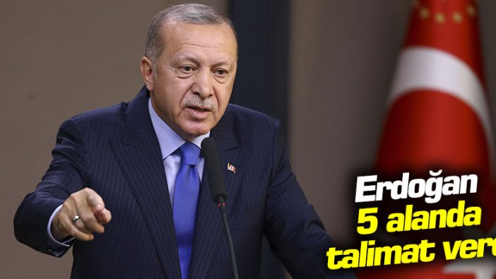 Erdoğan talimat verdi: 5 alanda çalışma başlatıldı